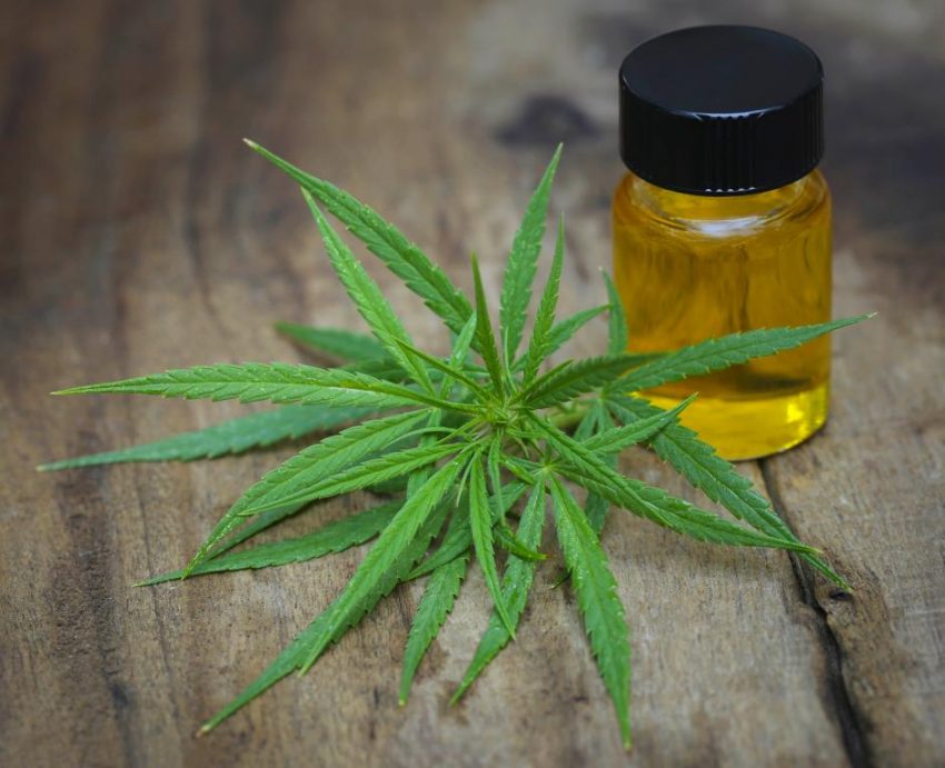 Medicinsk cannabis kan lindre smerter